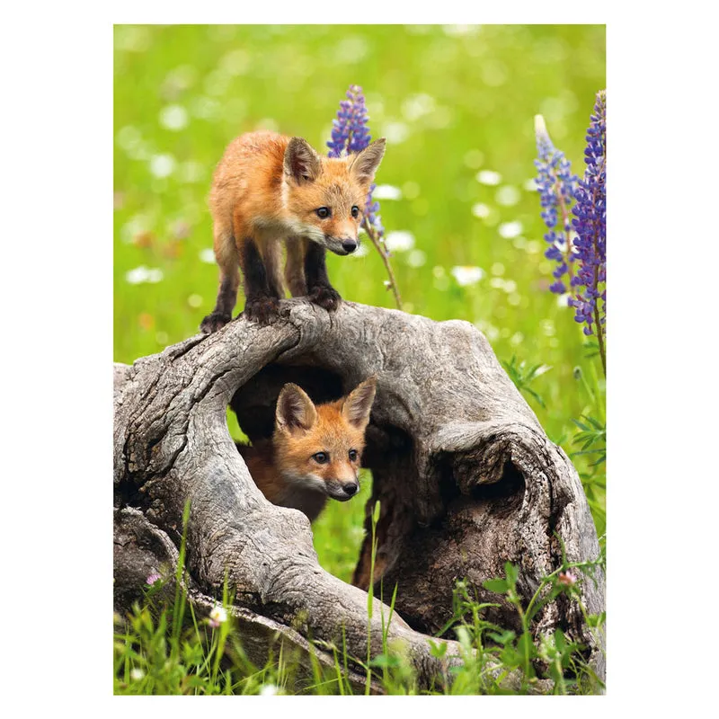 Ravensburger Puzzel Vosjes 300 XXL Stukjes